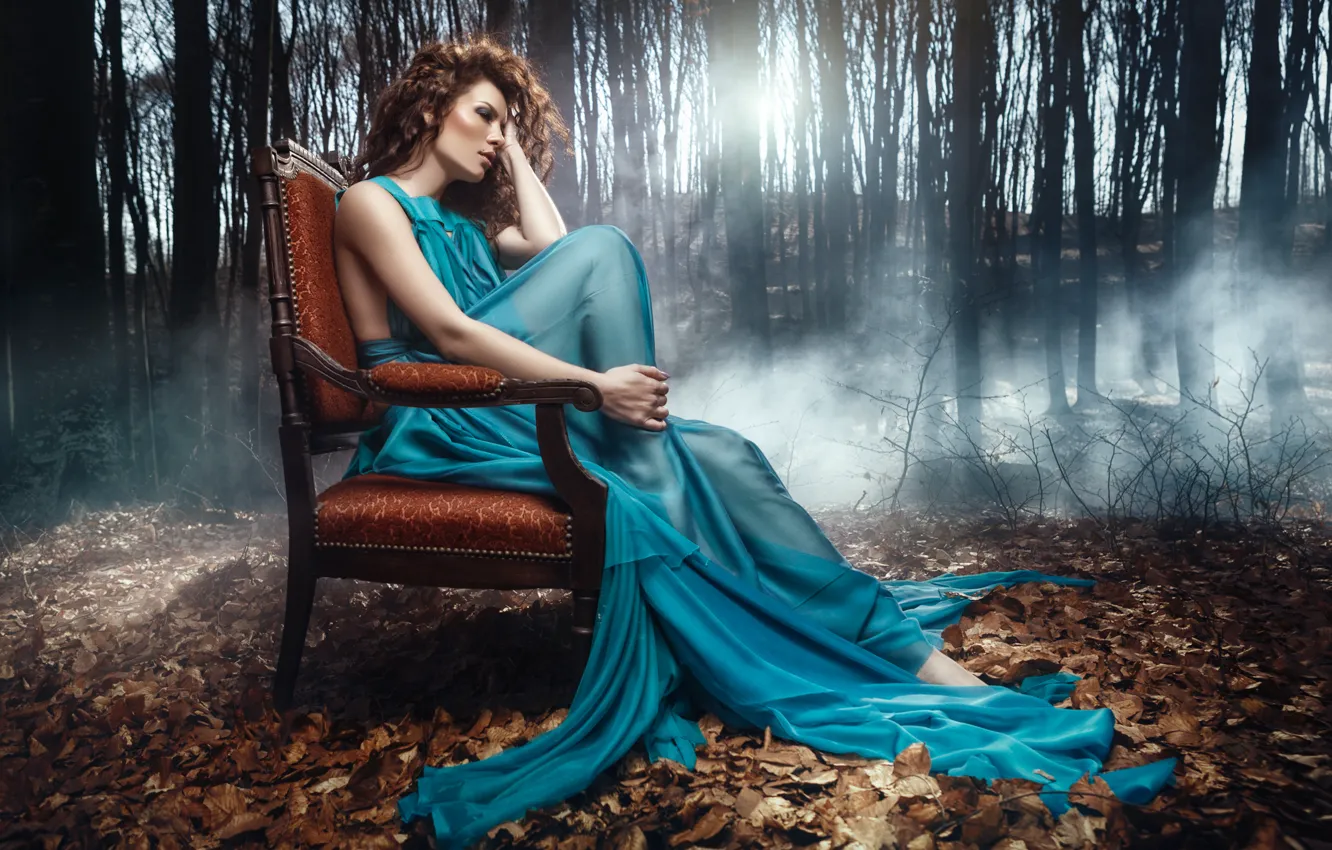 Фото обои осень, лес, девушка, кресло, платье, шатенка, Daniel Ilinca