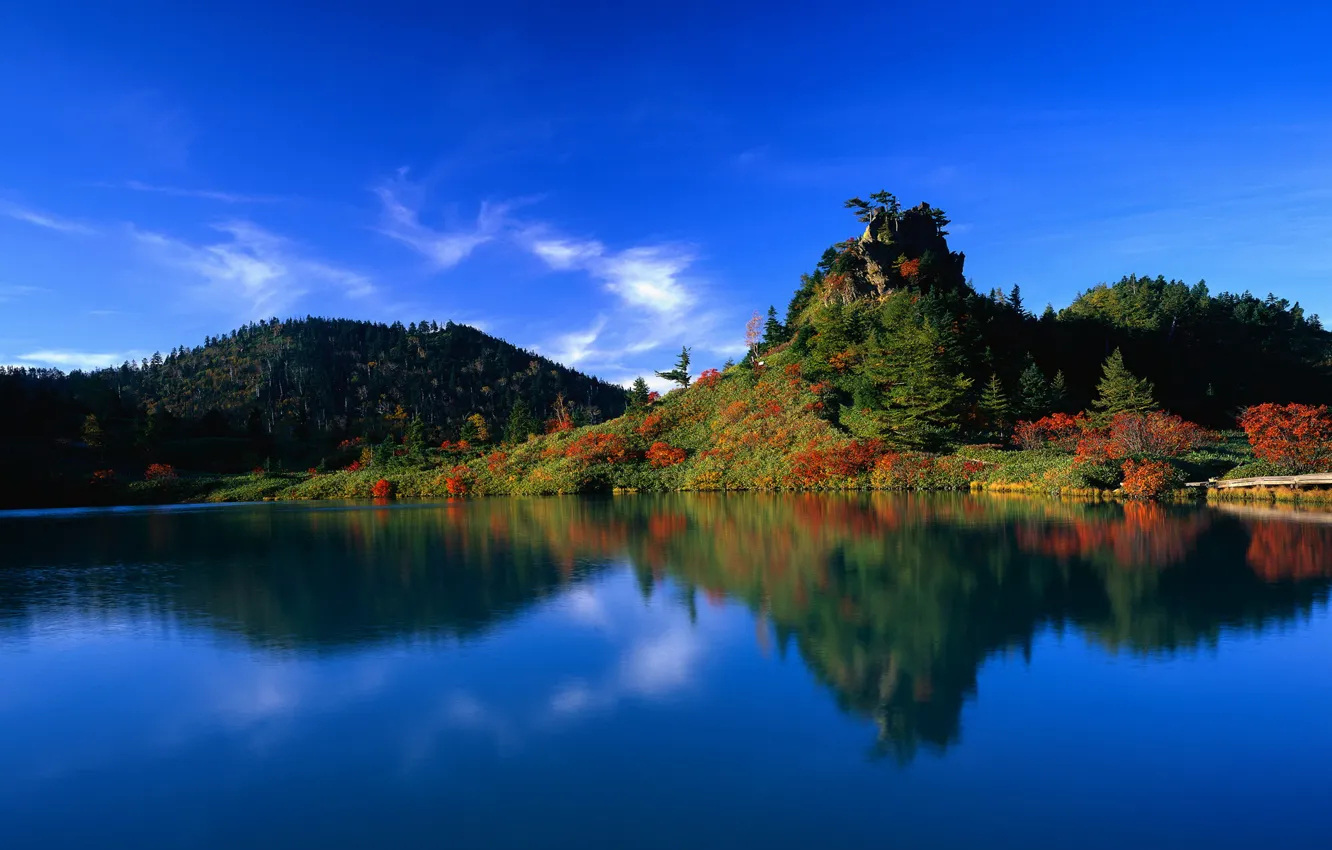 Фото обои лес, вода, озеро, отражение, япония