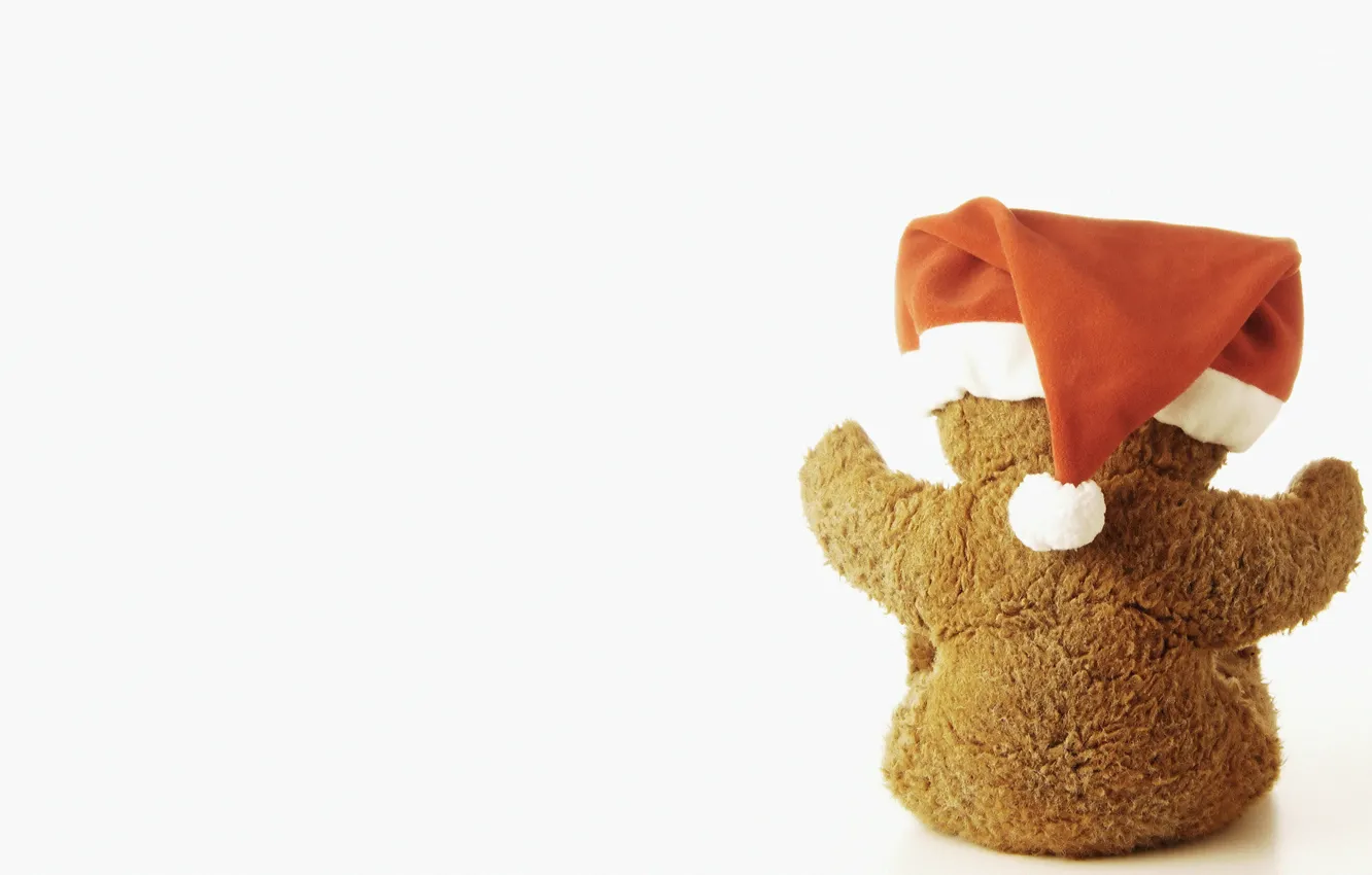 Фото обои праздник, шапка, мишка, медвежонок, светлый фон, teddy