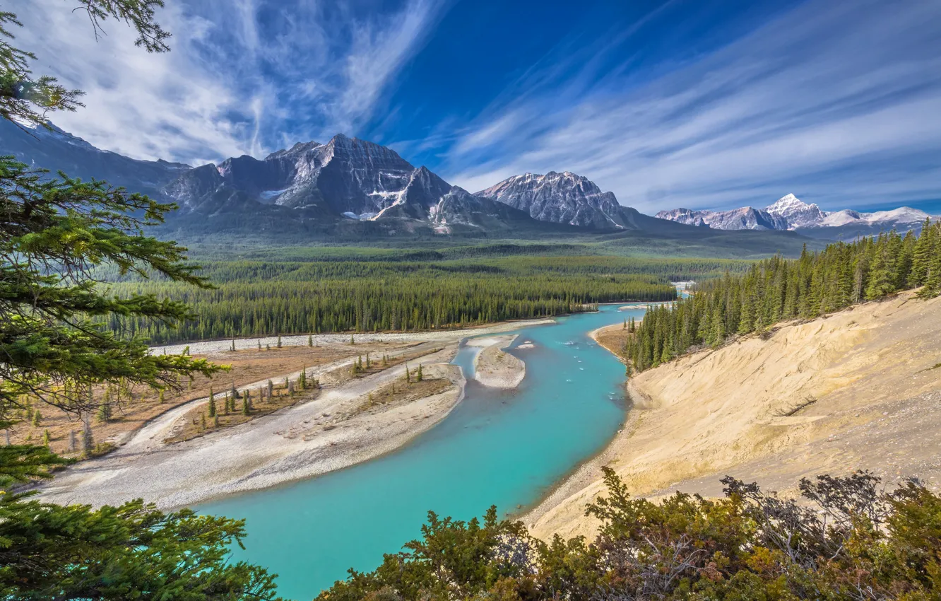 Фото обои лес, горы, река, Канада, Альберта, Alberta, Canada, Jasper National Park