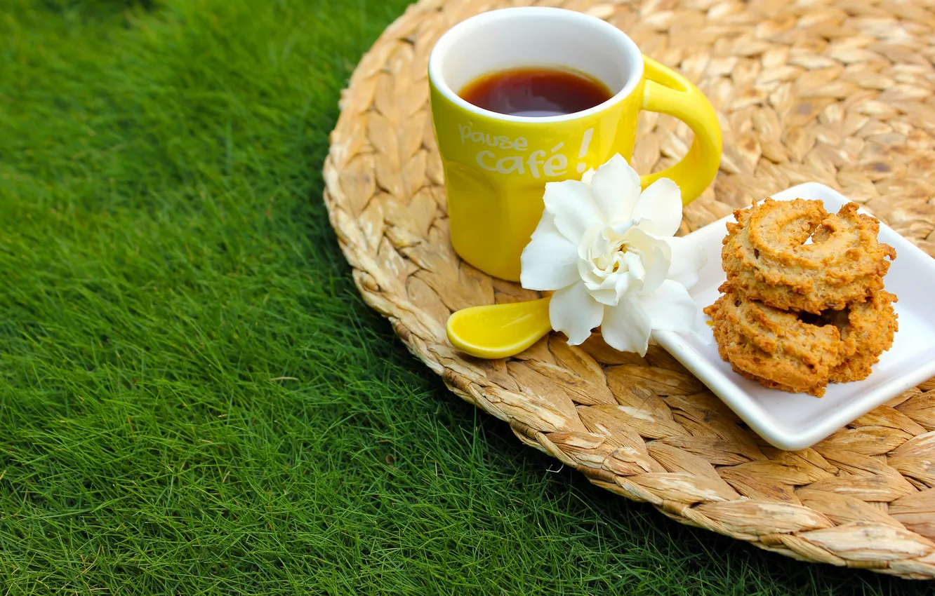 Фото обои белый, цветок, трава, чай, печенье, ложка, чашка, желтая