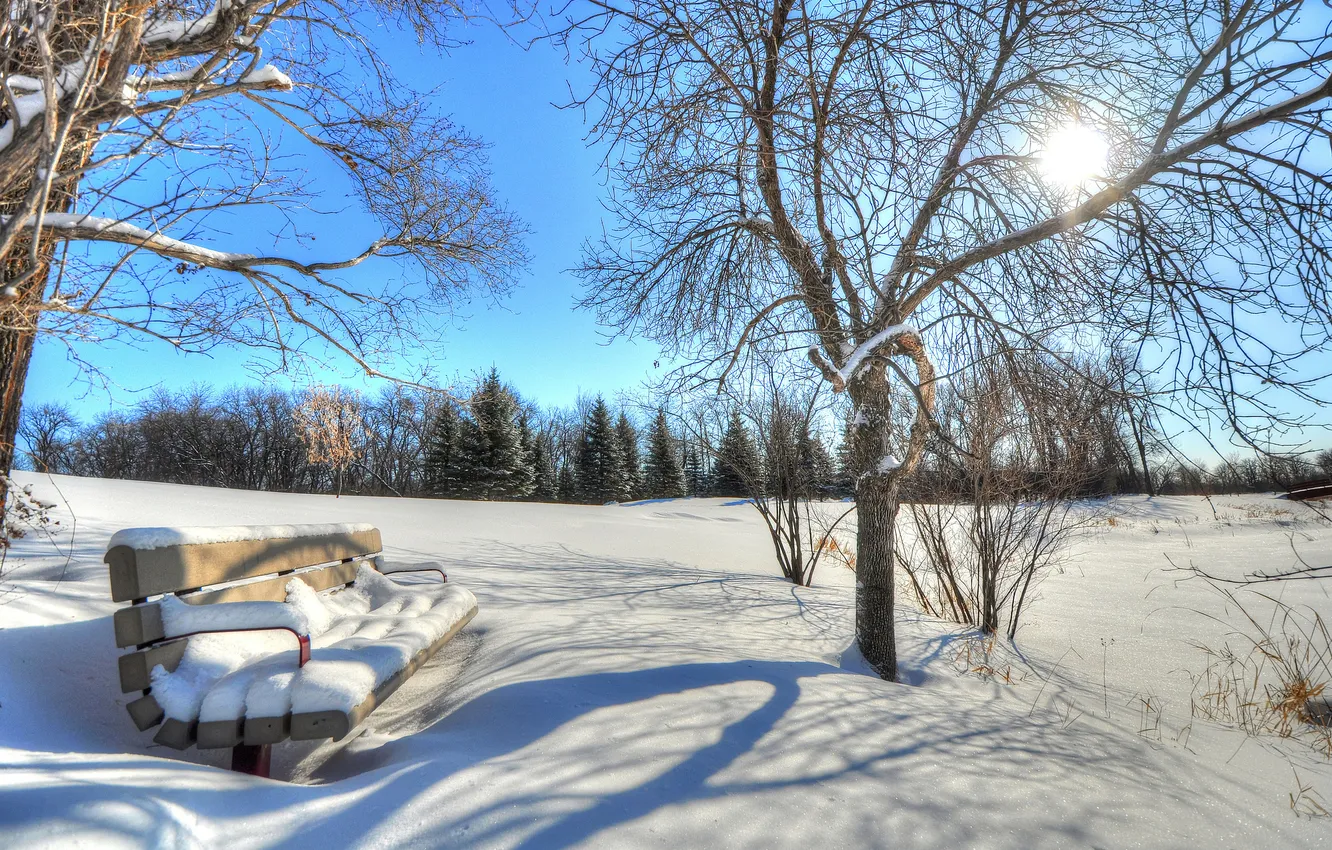 Фото обои зима, небо, солнце, лучи, снег, деревья, парк, скамья
