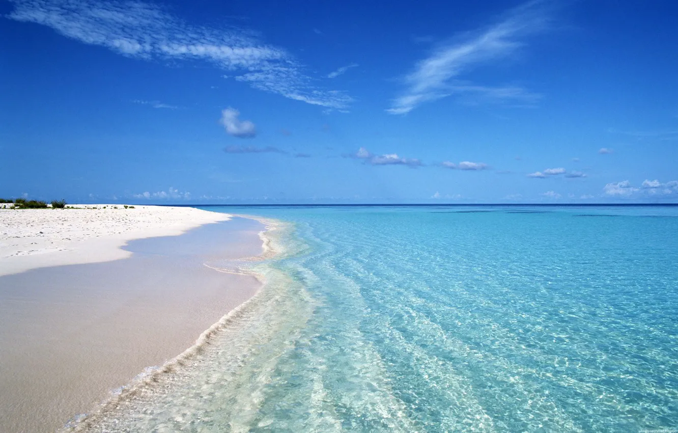 Фото обои пляж, прозрачная вода, океан, белый песок