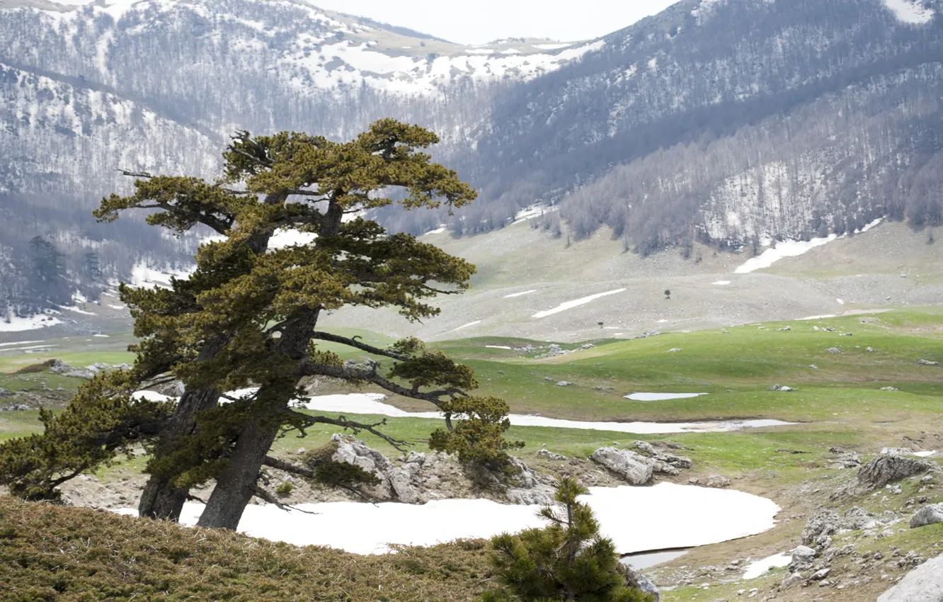Фото обои landscape, Italy, nature, park, snow, tree, landscape colorful trees, landscape. mountain