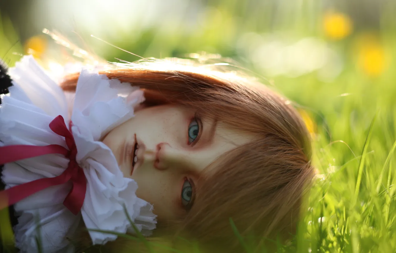 Фото обои трава, кукла, голубые глаза, doll, BJD, шарнирная кукла