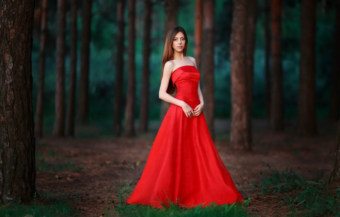 Фото обои лес, взгляд, фигура, в красном, Lady in Red