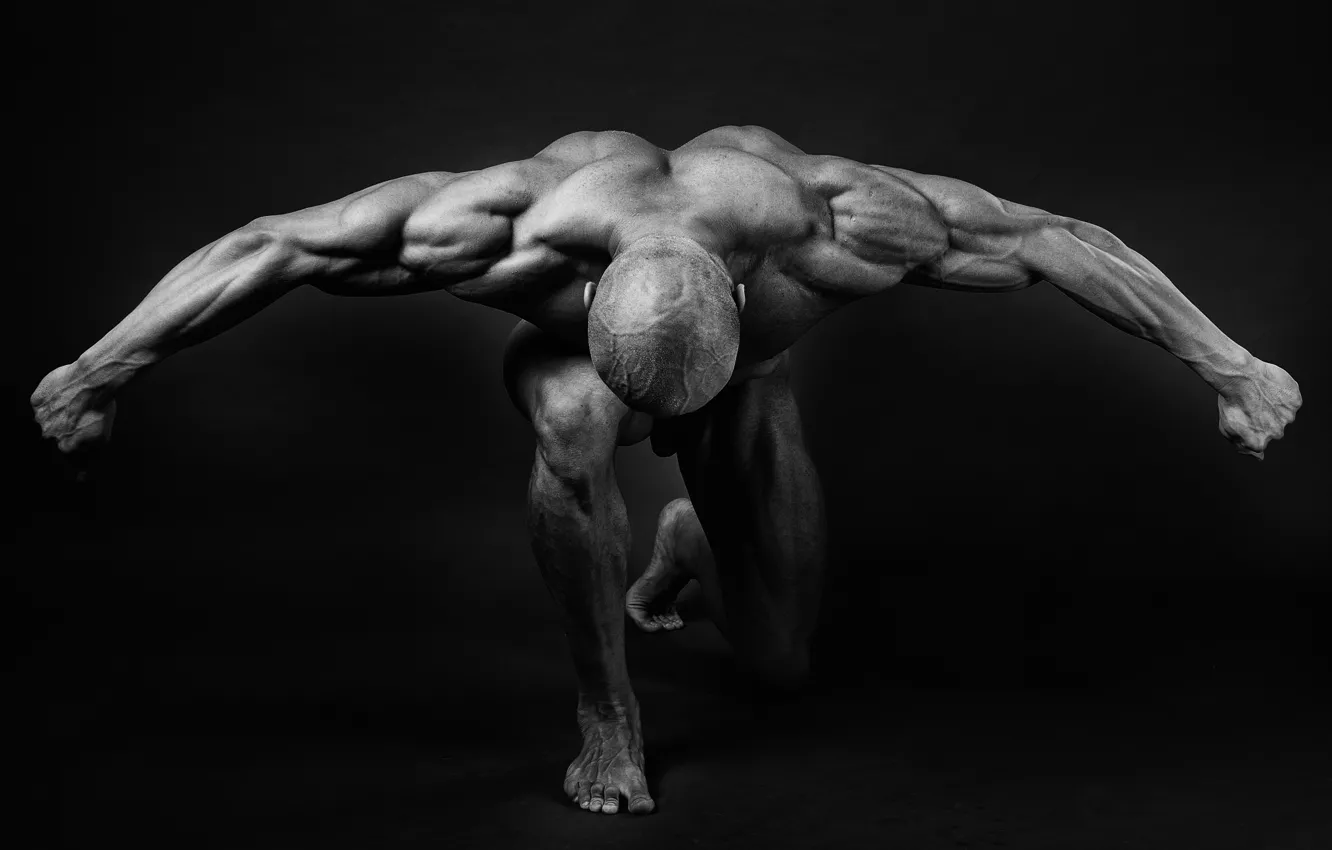 Фото обои muscles, pose, back, arms, bodybuilder