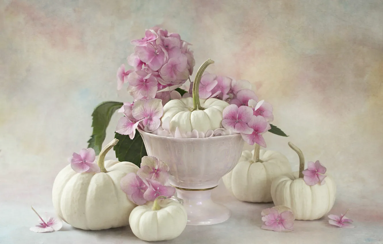 Фото обои цветы, букет, тыквы, ваза, розовые, белые, натюрморт, гортензия