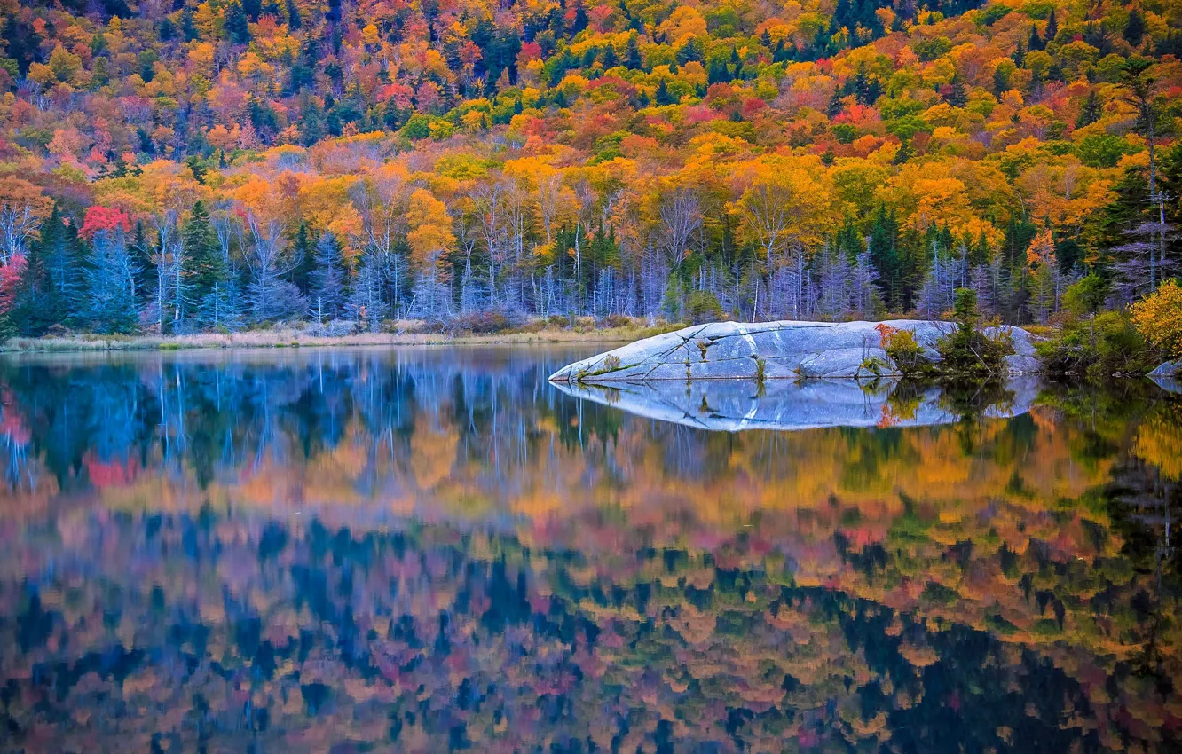 Фото обои осень, лес, пейзаж, природа, озеро, красота