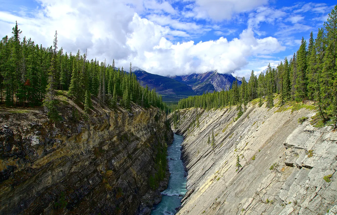 Фото обои лес, небо, облака, деревья, горы, река, скалы, Канада
