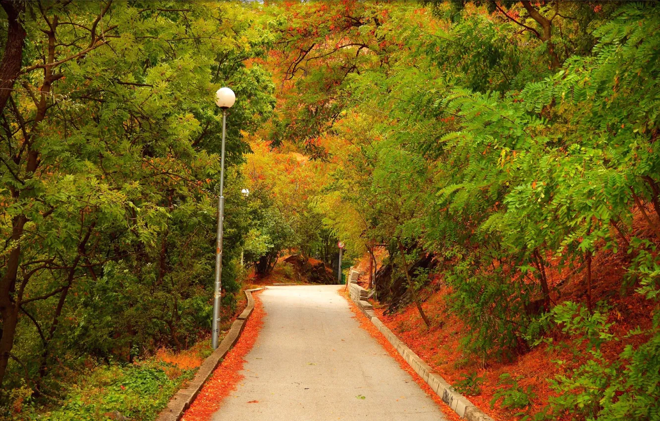 Фото обои Осень, Деревья, Фонари, Fall, Дорожка, Autumn, Colors, Road