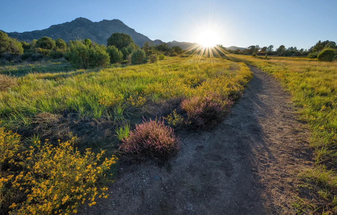 Фото обои солнце, утро, Аризона, США, Arizona, Prescott, Granite Mountain