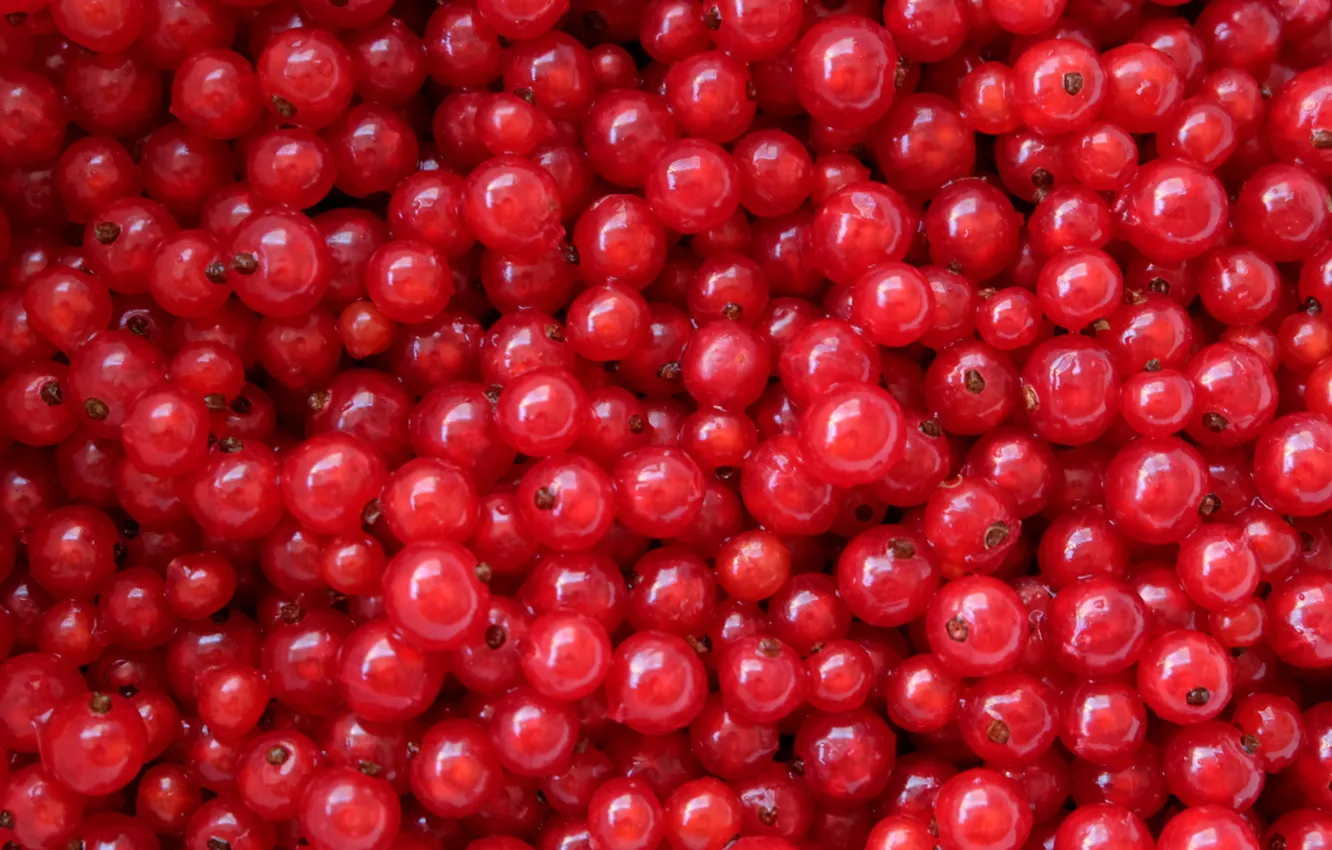 Фото обои ягоды, текстура, красная смородина, кисленько
