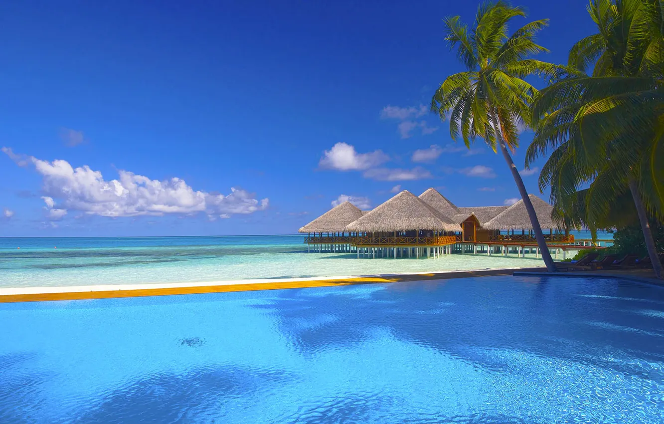 Фото обои песок, море, пляж, небо, облака, пальма, пальмы, океан