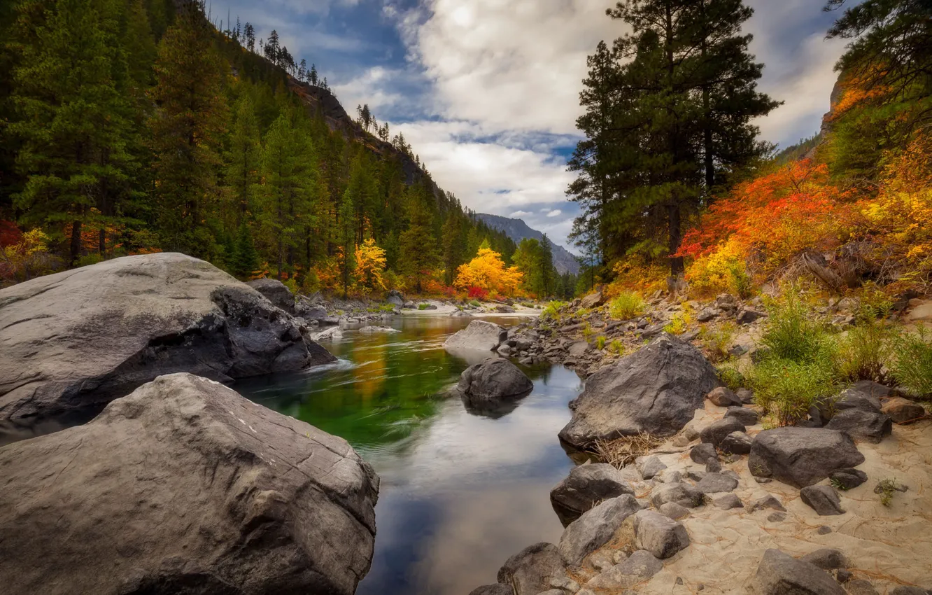 Фото обои осень, лес, облака, река, камни, берег, речка, водоем