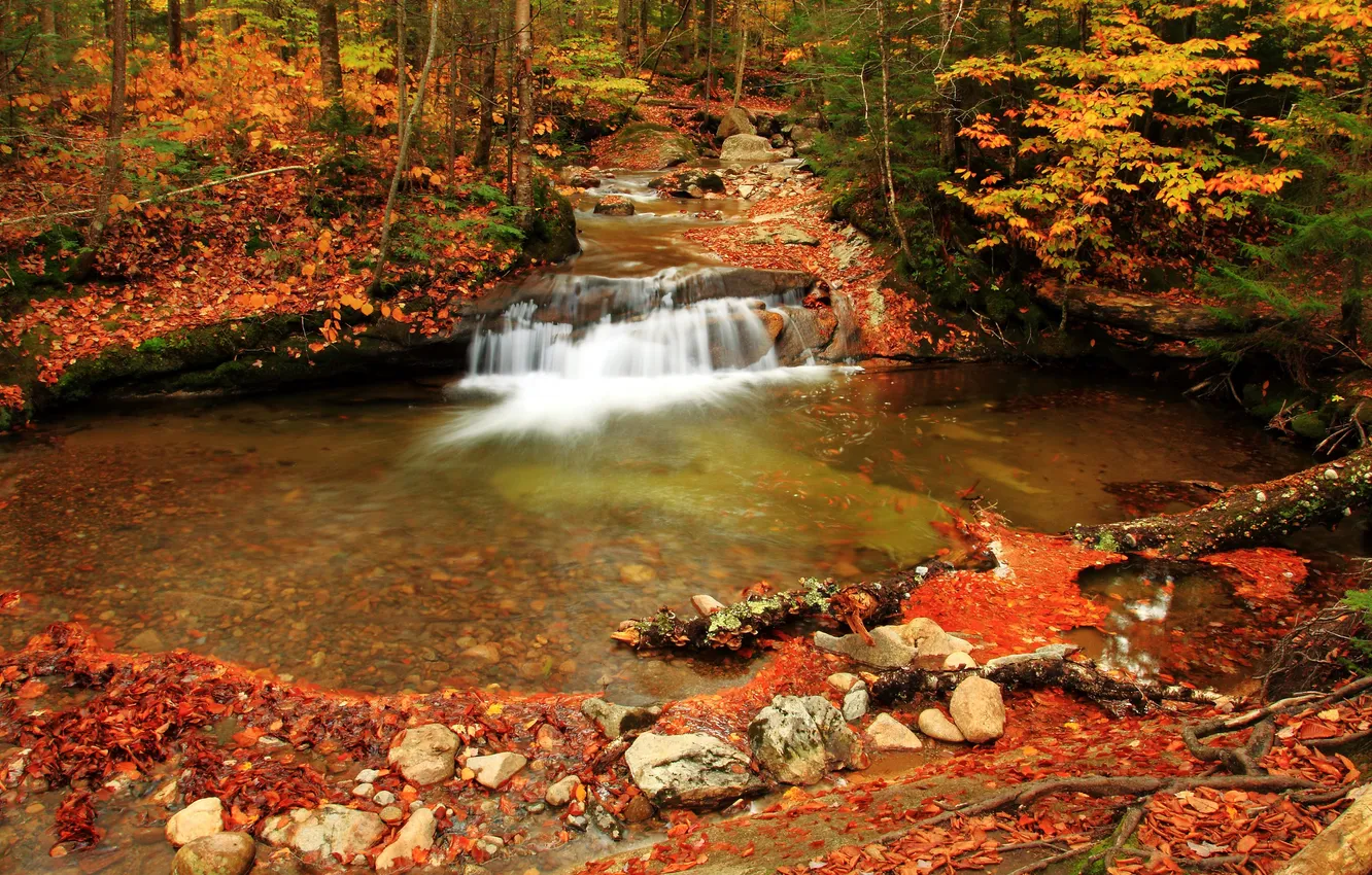 Фото обои осень, лес, деревья, ручей, камни, водопад