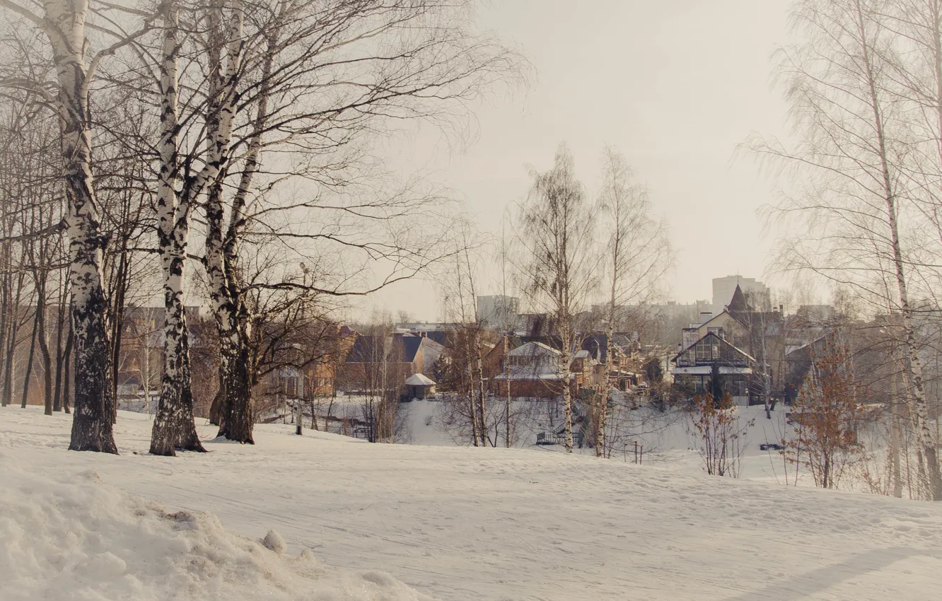Фото обои зима, деревья, пейзаж, город, дома