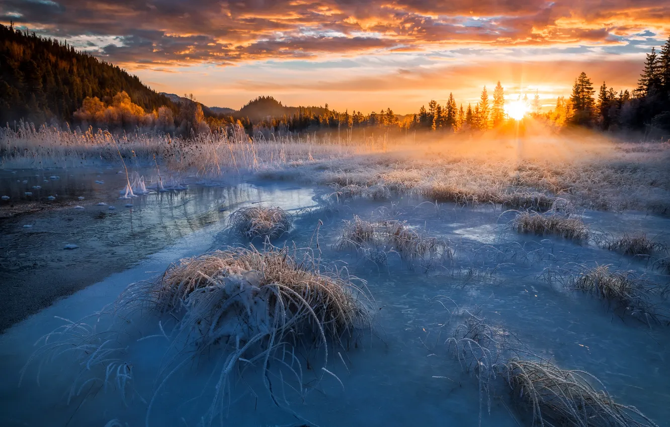 Фото обои зима, поле, закат