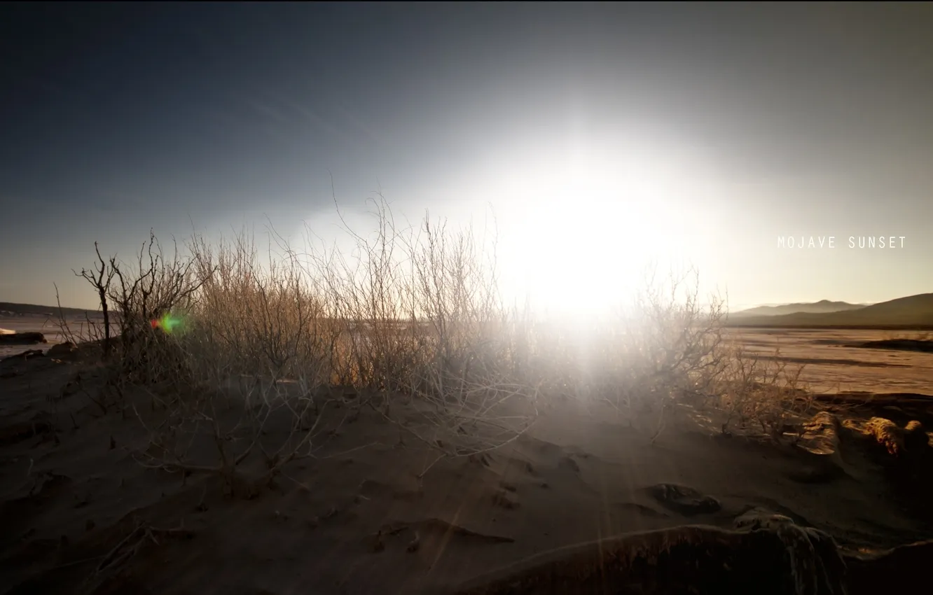 Фото обои песок, небо, солнце, надпись, пустыня, кустарник, mojave sunset, закат в мохаве