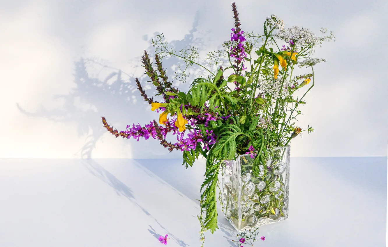 Фото обои цветы, букет, ваза, светлый фон, полевые, разные