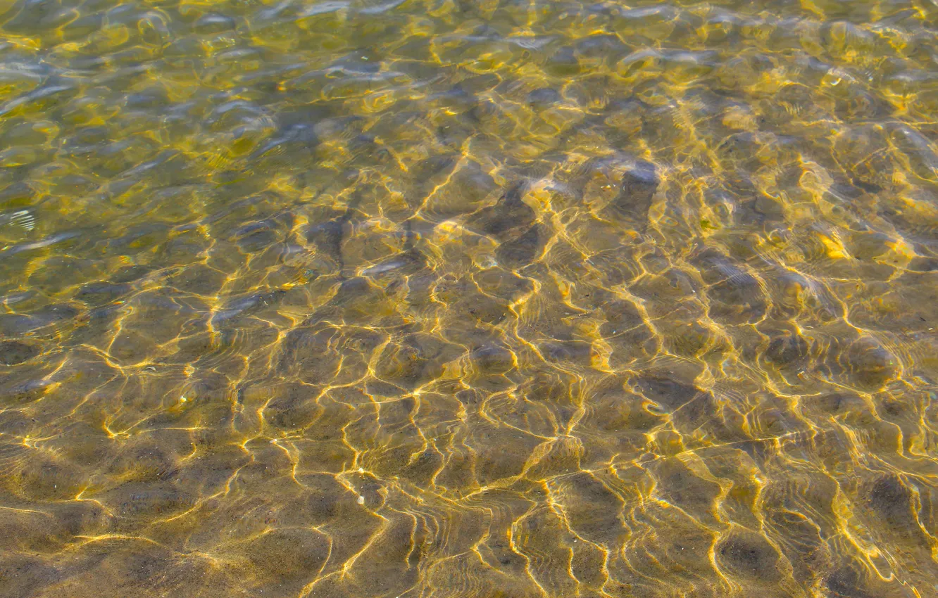 Фото обои wet, water, pattern