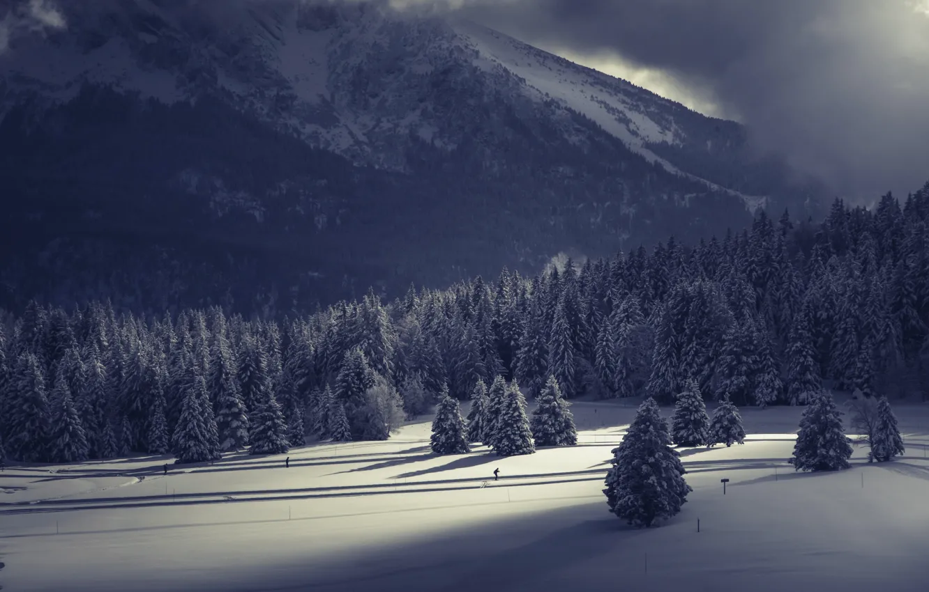 Фото обои зима, горы, лыжник