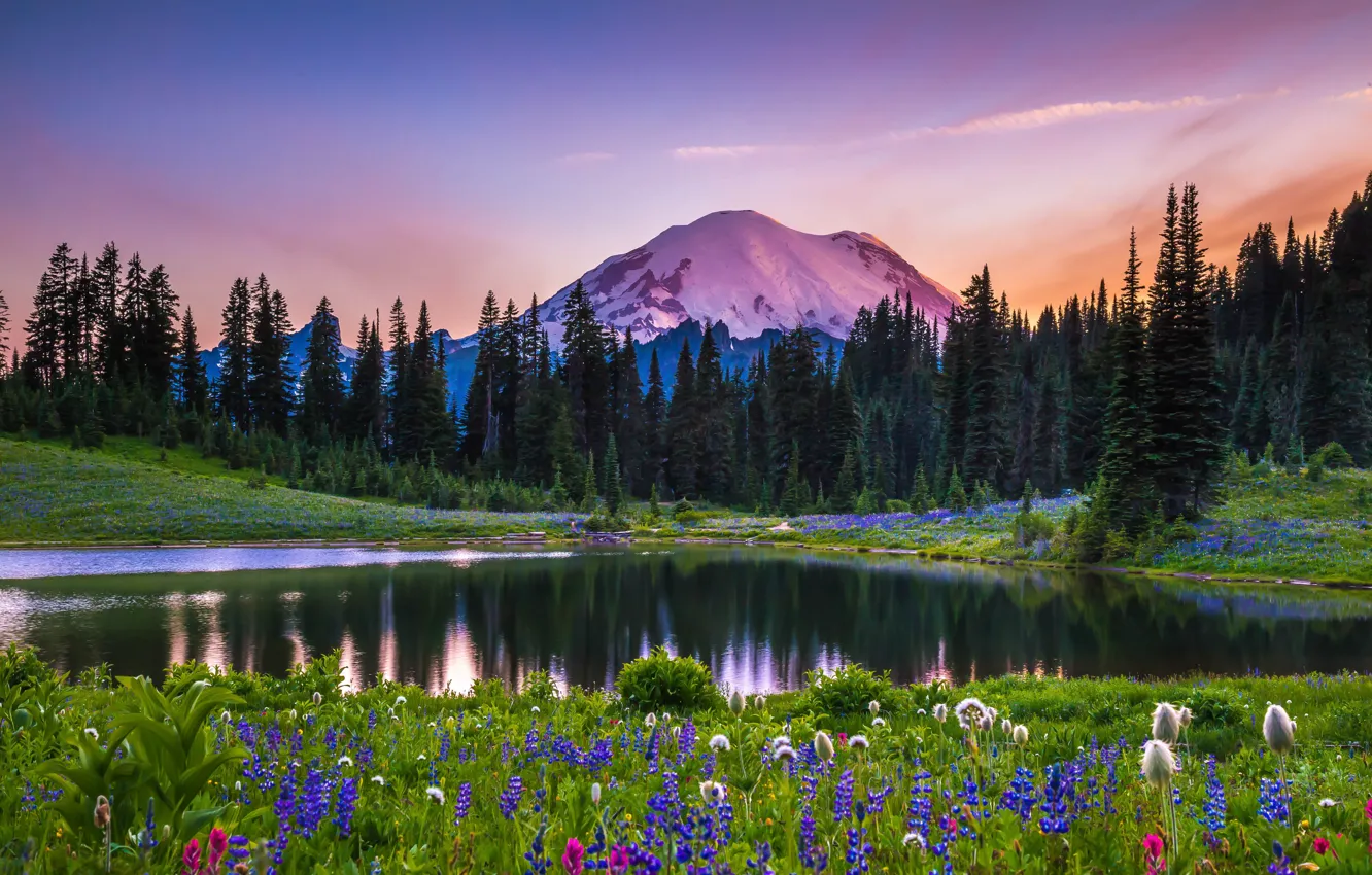 Фото обои деревья, пейзаж, закат, цветы, горы, природа, озеро, США