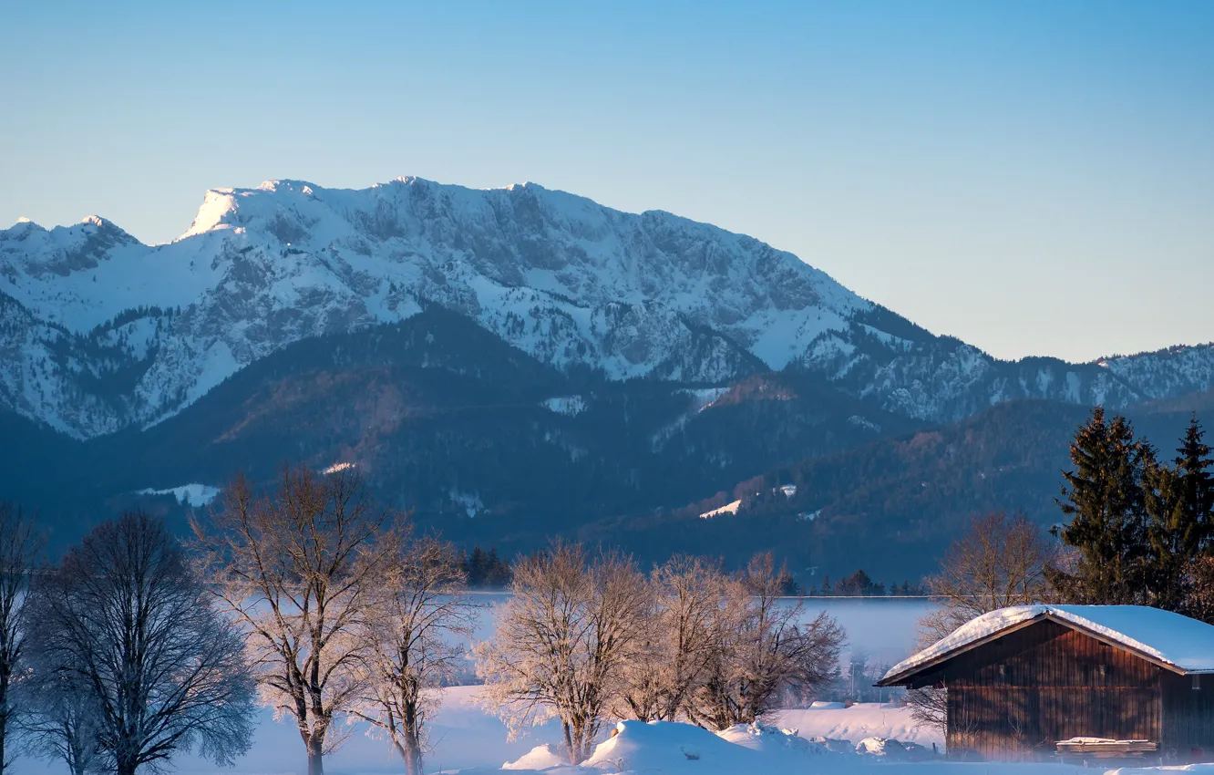 Фото обои зима, лес, небо, солнце, снег, деревья, горы, туман