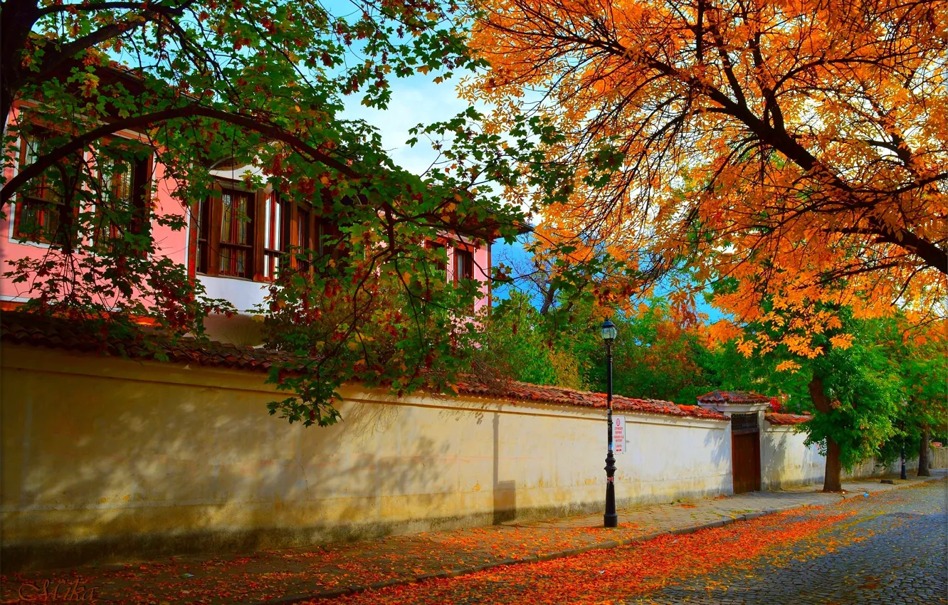Фото обои Город, Осень, Дом, Улица, House, Fall, Autumn, Street