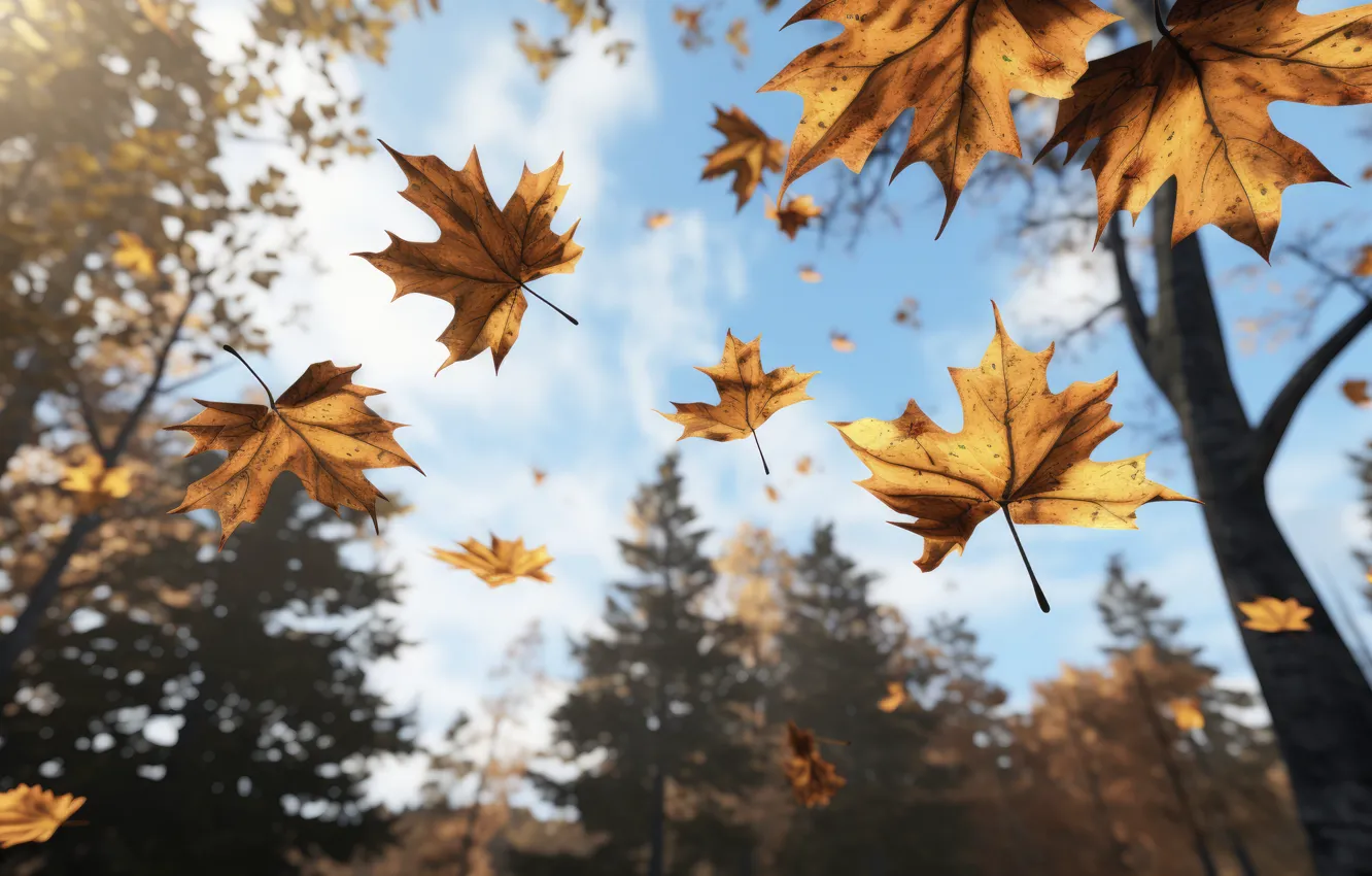Фото обои осень, листья, парк, forest, park, autumn, leaves