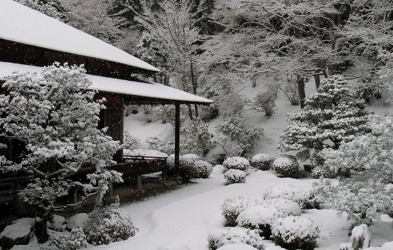 Фото обои Япония, Дом, House, Japan, Winter Garden, Snow Trees, Снежные Деревья, Зимний Сад