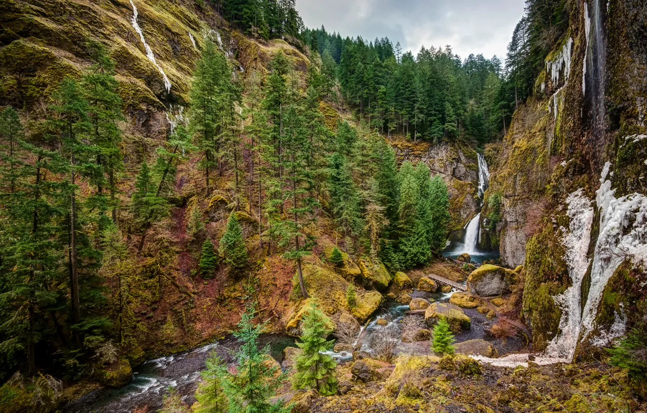 Фото обои небо, облака, деревья, горы, река, водопад, oregon, columbia river