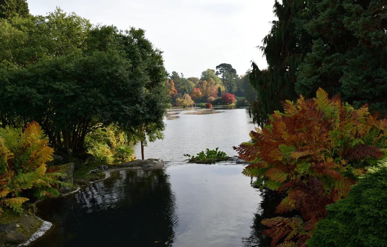 Фото обои Англия, Природа, Осень, Озеро, Fall, Autumn, England, Lake