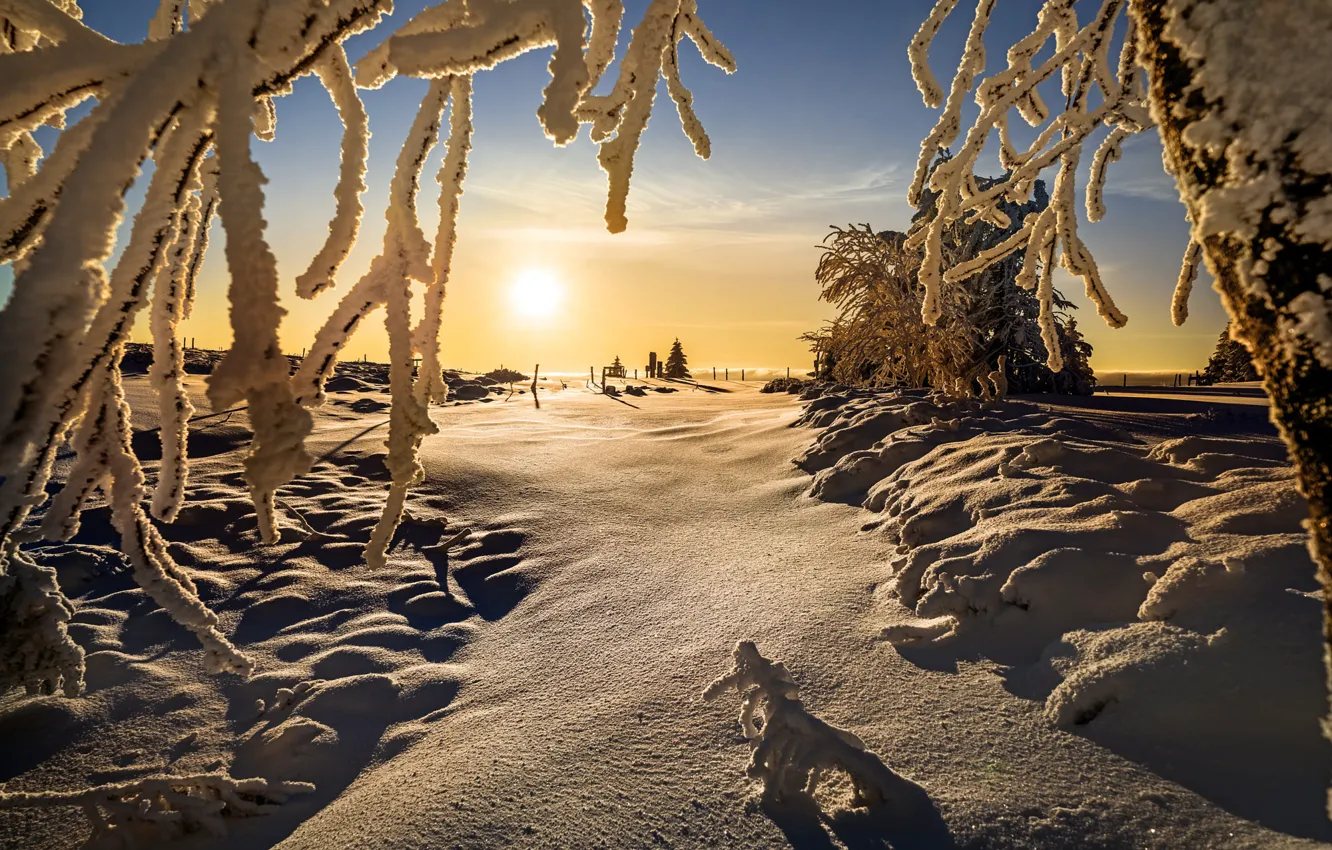 Фото обои зима, солнце, снег, пейзаж, ветки, природа, тени, Robert Didierjean