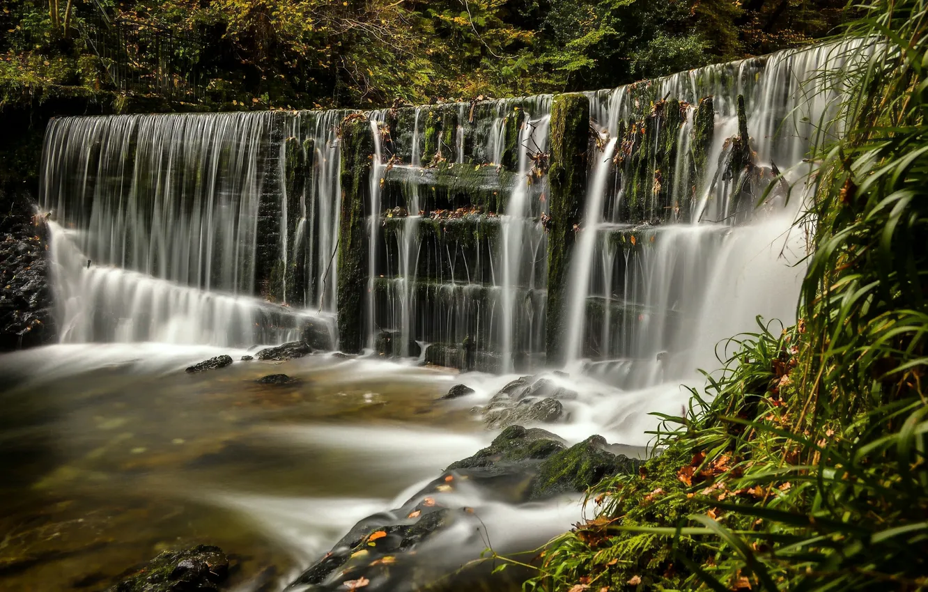 Фото обои лес, Англия, водопад, каскад, England, Озёрный край, Lake District, Лейк-Дистрикт