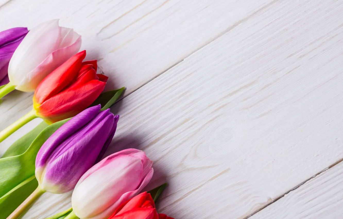 Фото обои цветы, букет, colorful, тюльпаны, red, white, wood, flowers