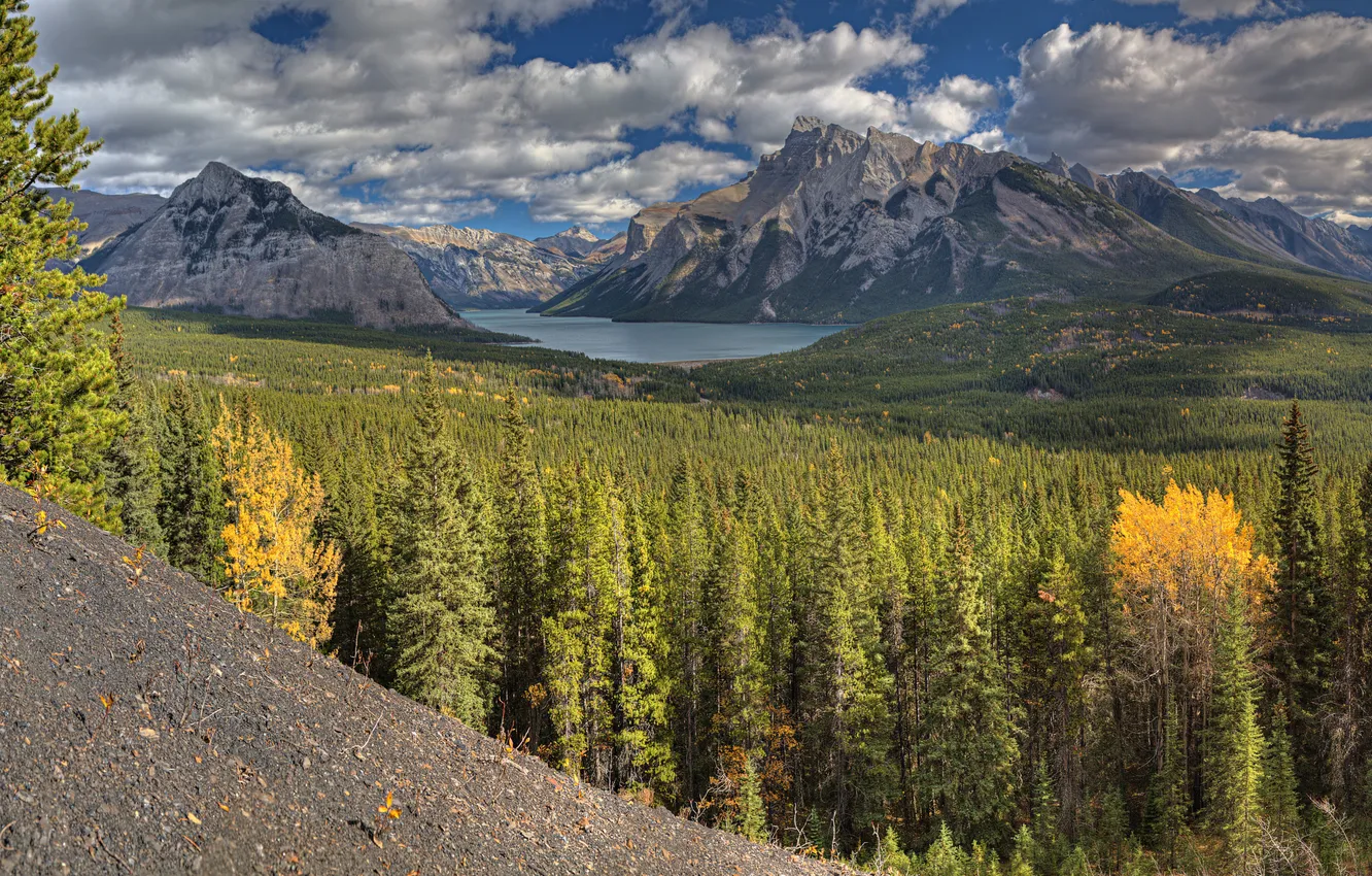 Фото обои лес, деревья, горы, озеро, Alberta, Canada, Banff