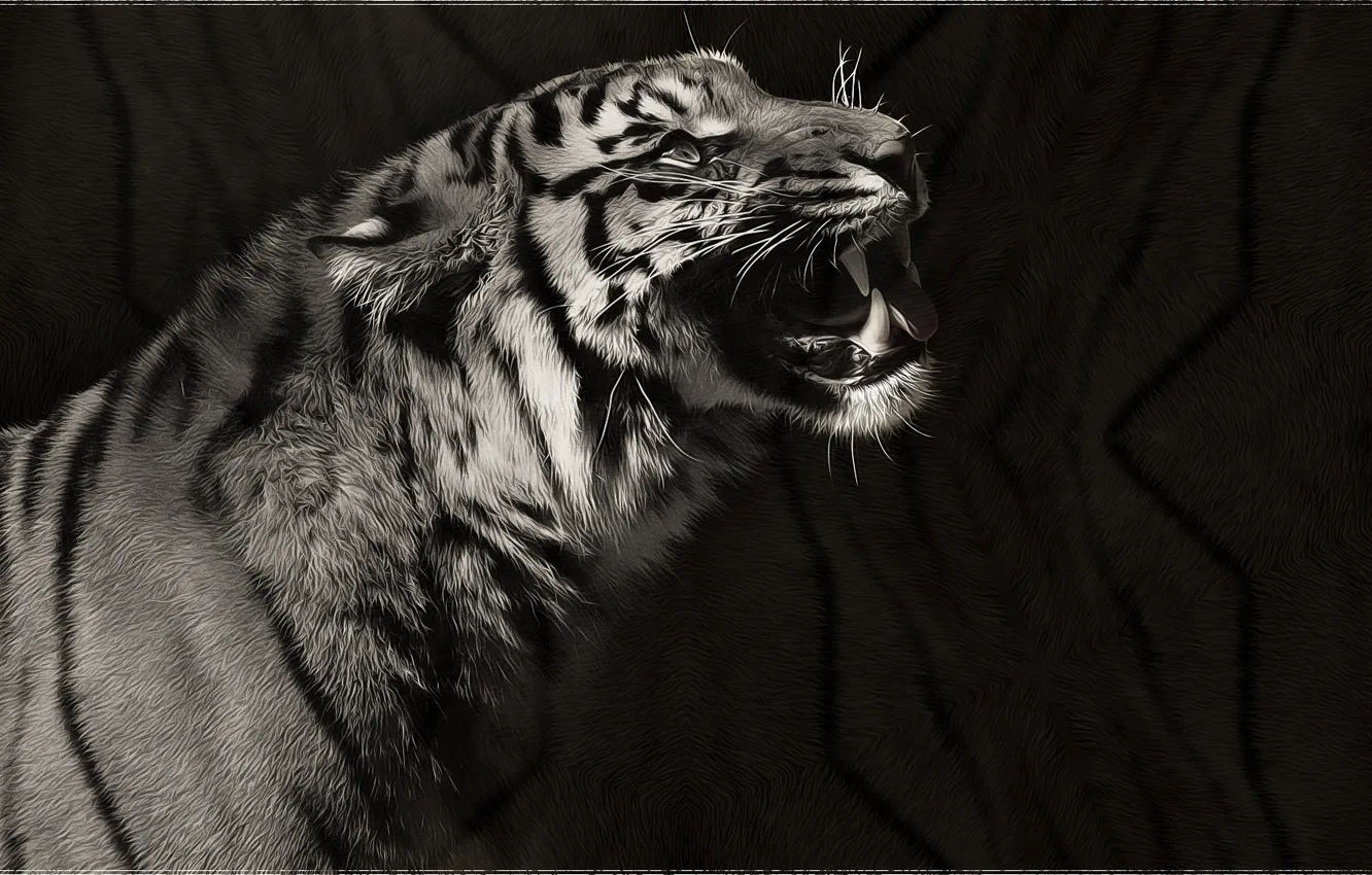 Фото обои тигр, чёрно-белое, хищник, арт