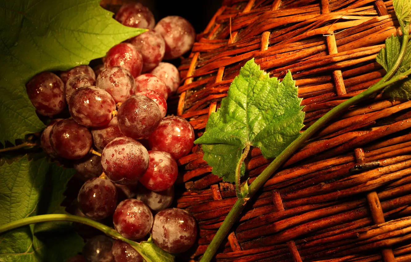 Фото обои листья, красный, ягоды, корзина, виноград, лоза