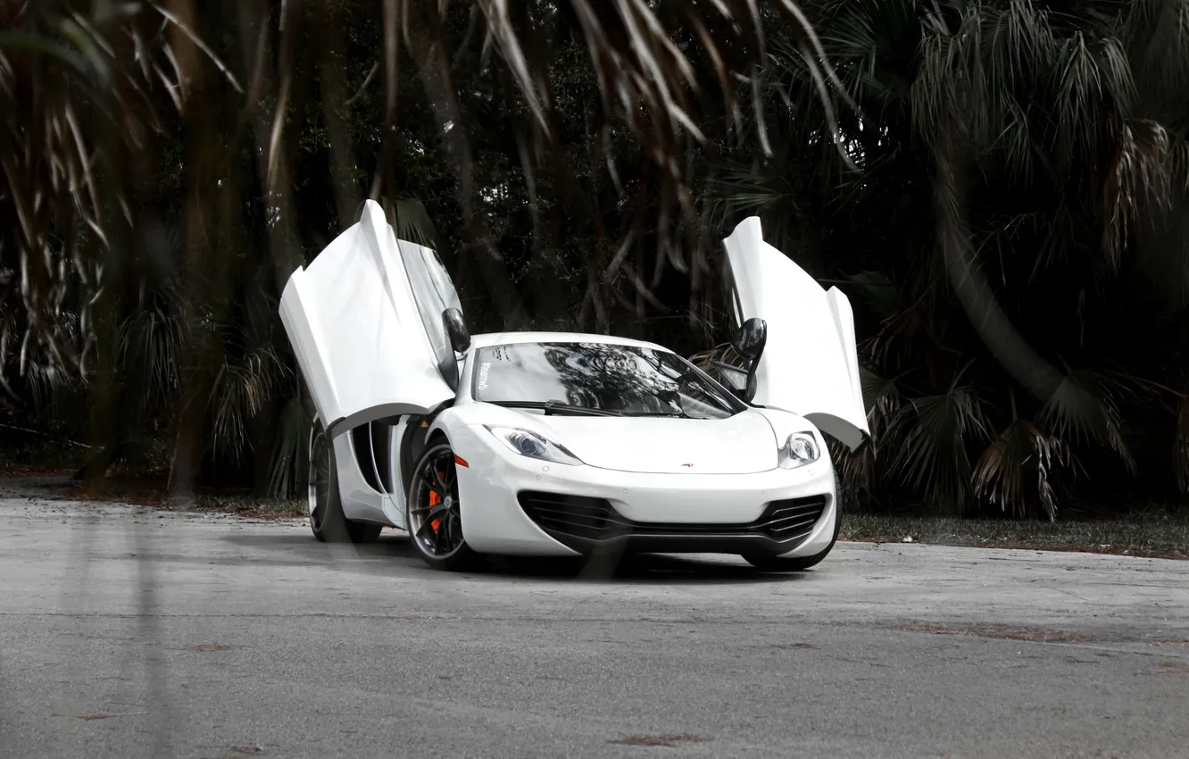 Фото обои белый, отражение, McLaren, white, вид спереди, MP4-12C, лобовое стекло, МакЛарен
