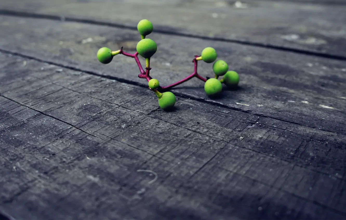 Фото обои макро, молекула, Xpand, Molecule