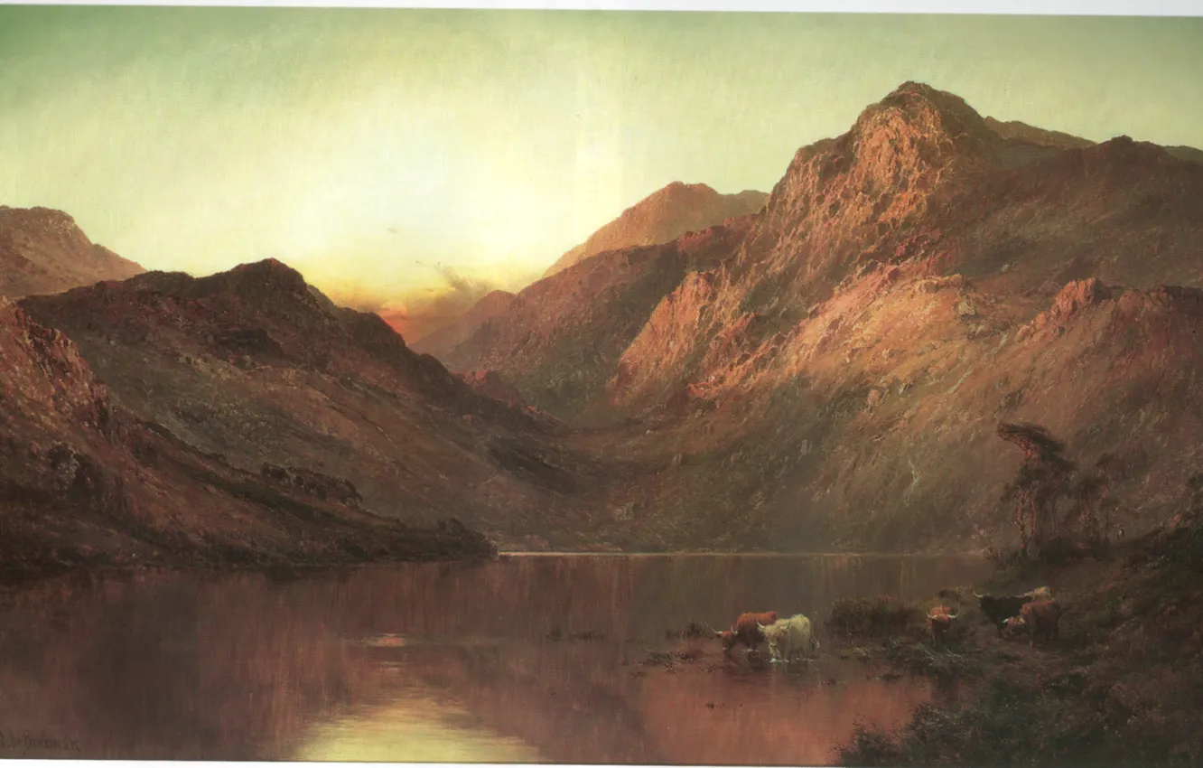 Фото обои горы, озеро, BREANSKI, SUNSET ON THE LOCH, буйволята
