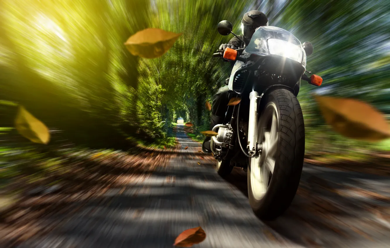 Фото обои осень, листья, природа, скорость, мотоцикл, шлем, мотоциклист