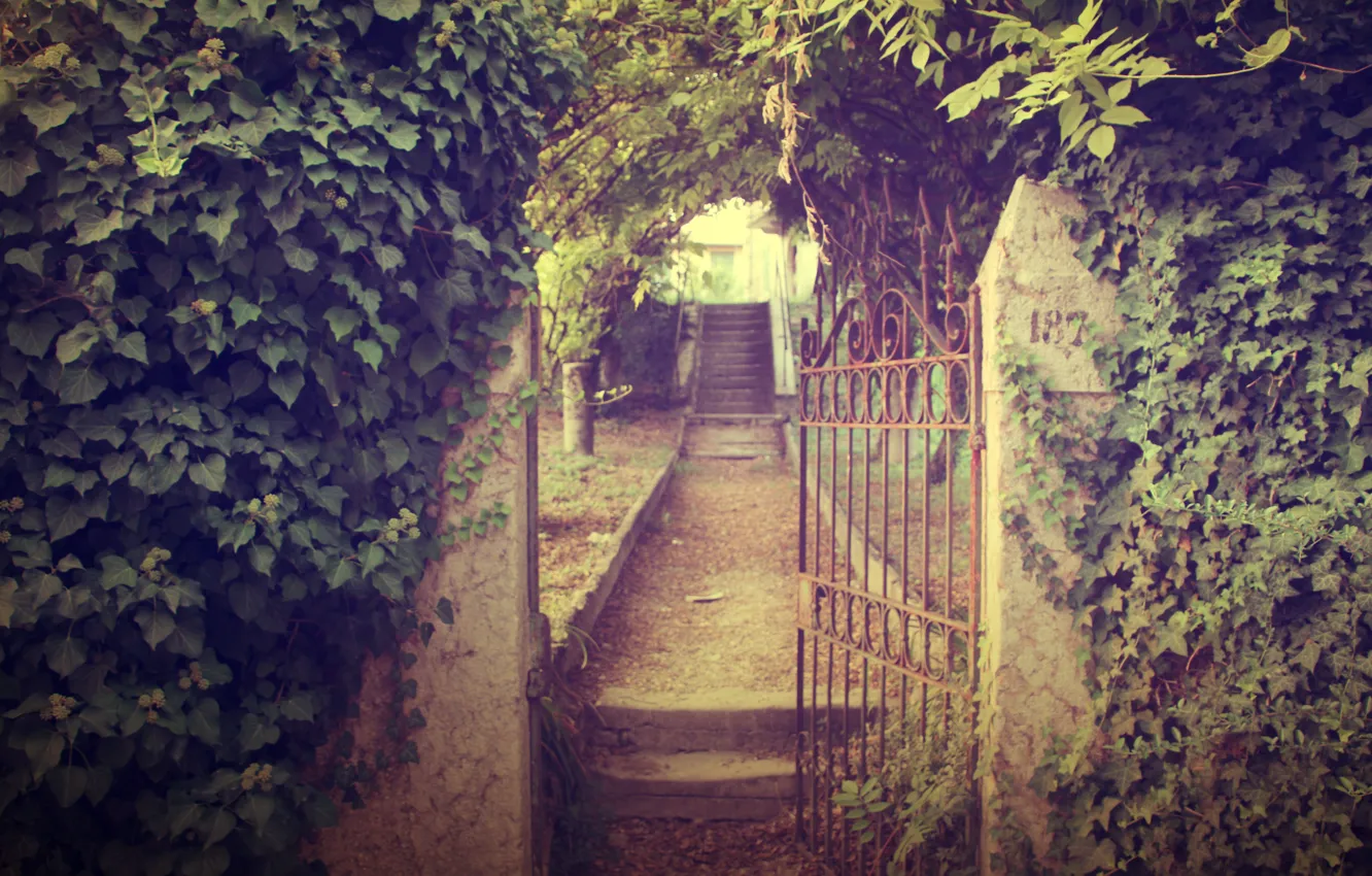 Фото обои дорога, листья, природа, стена, растения, ворота, сад, ступени