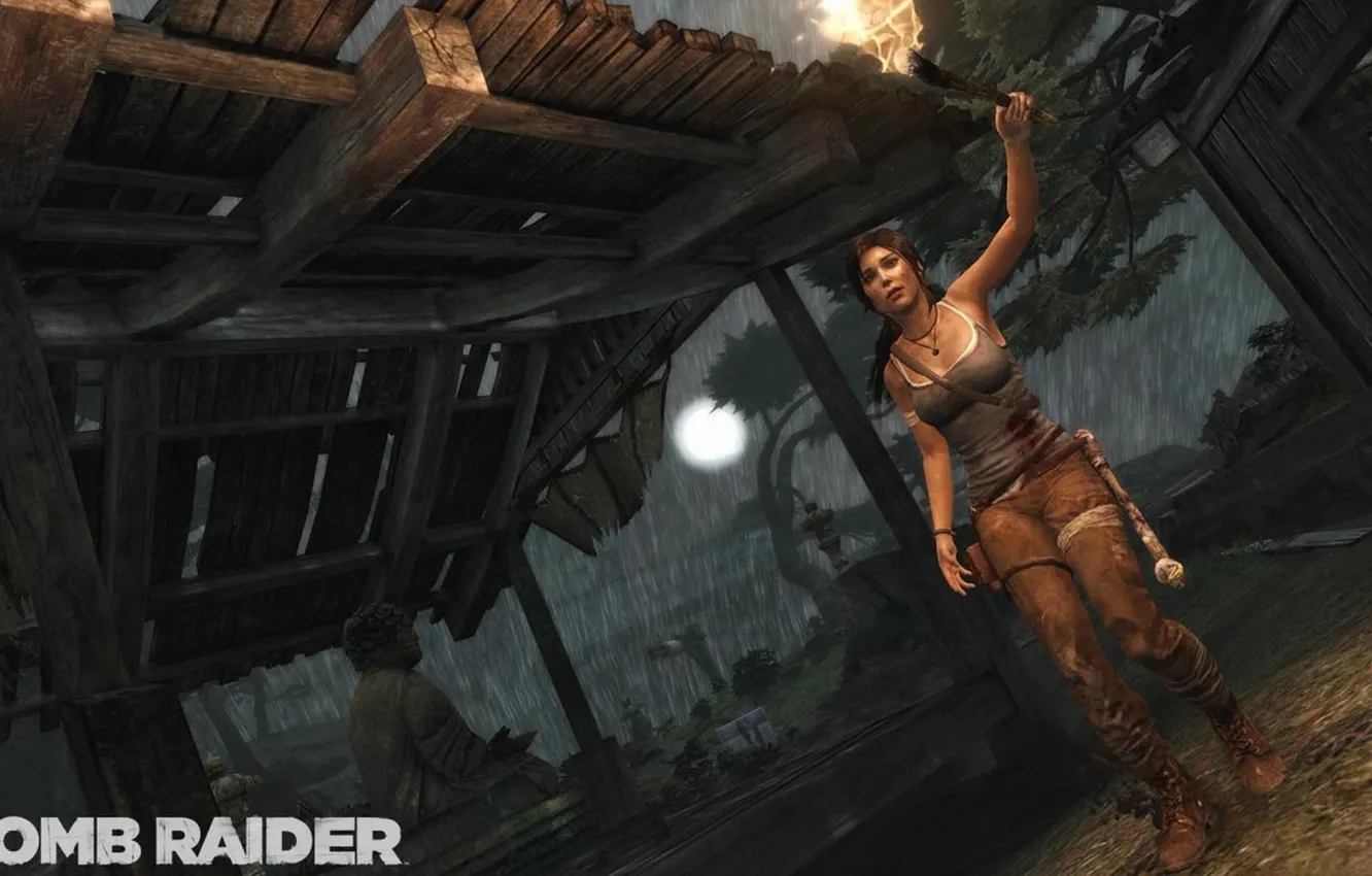 Фото обои девушка, факел, Tomb Raider, lara croft