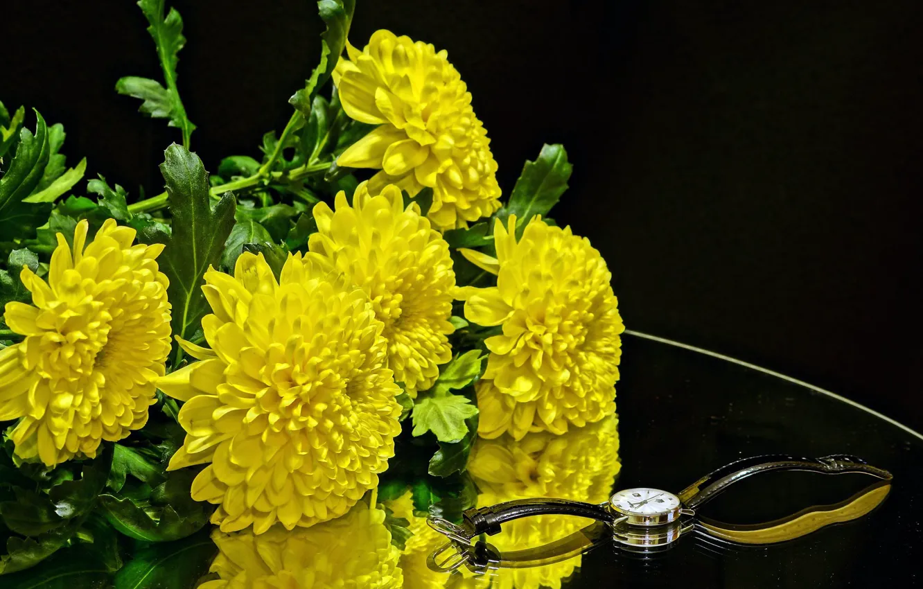 Фото обои цветы, часы, хризантемы