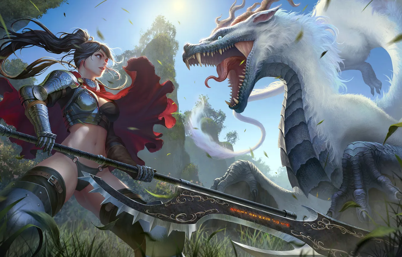 Фото обои девушка, солнце, оружие, дракон, доспехи, аниме, воин, арт