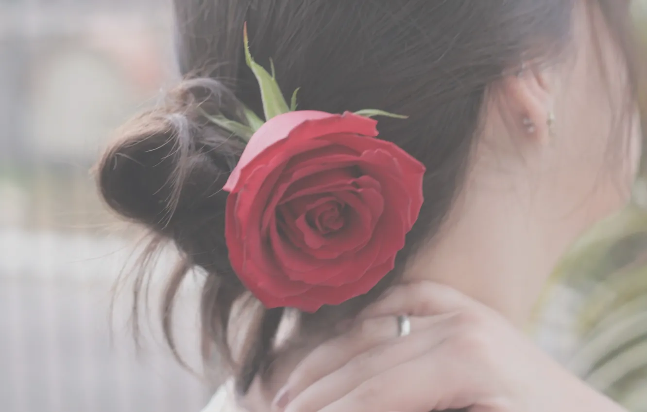 Фото обои цветок, девушка, настроение, волосы, роза, брюнетка, прическа, затылок