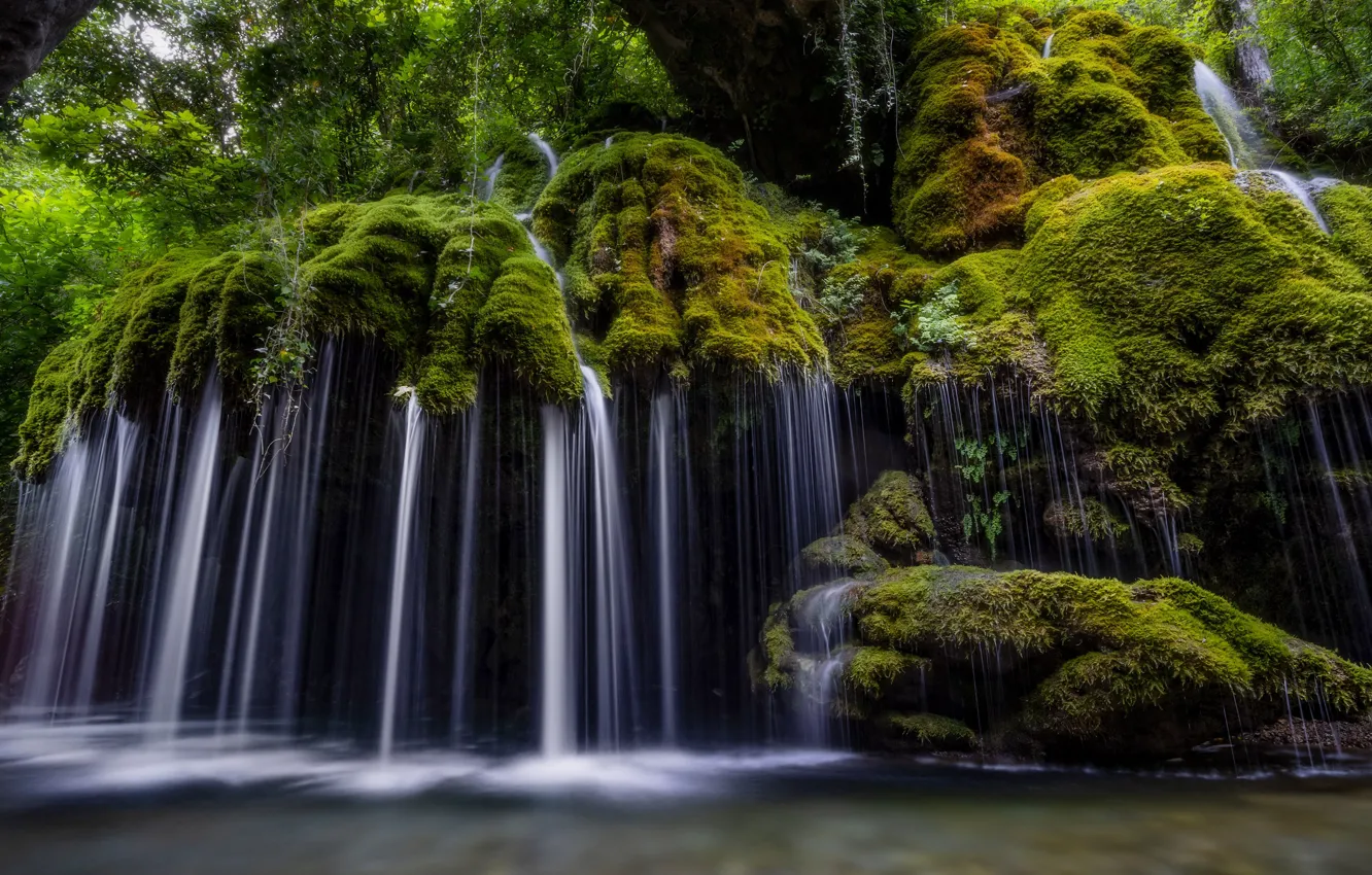 Фото обои лес, камни, скалы, растительность, водопад, мох