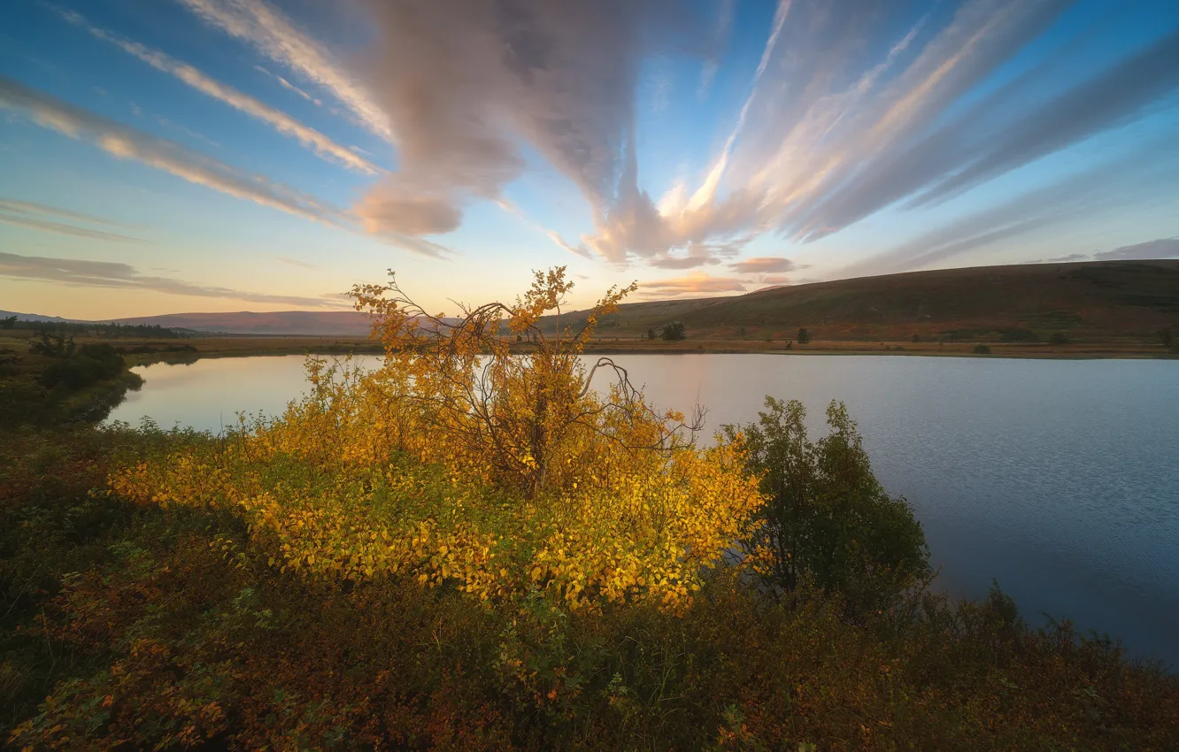 Фото обои осень, пейзаж, природа, озеро, холмы, тундра, Урал, Заполярье